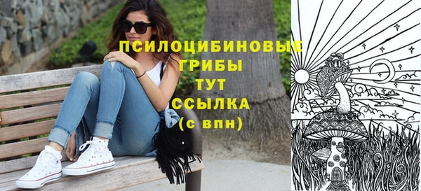 метадон Дмитриев