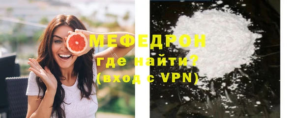 индика Дмитров