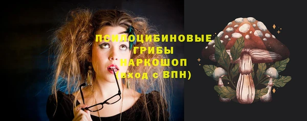 индика Дмитров