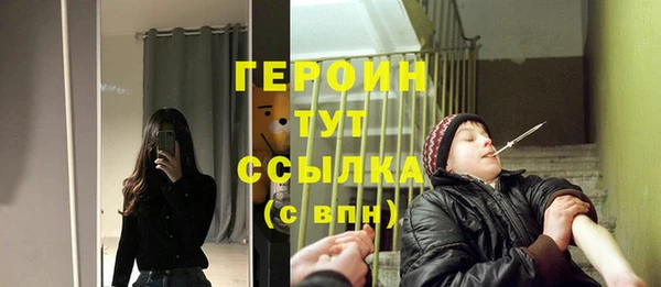 индика Дмитров