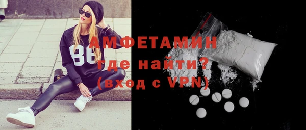 индика Дмитров