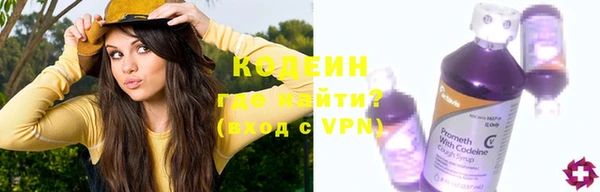 индика Дмитров