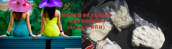 индика Дмитров