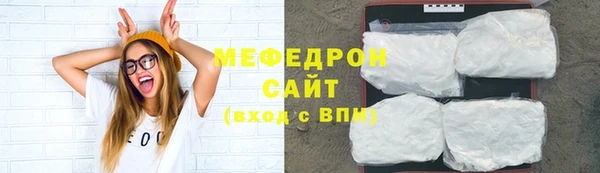 индика Дмитров