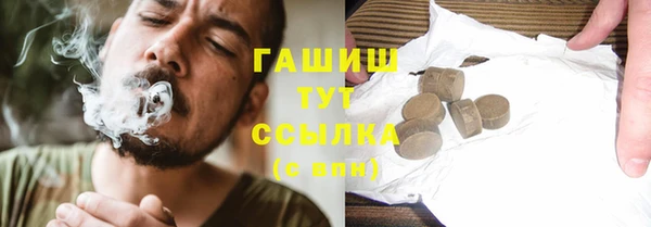индика Дмитров