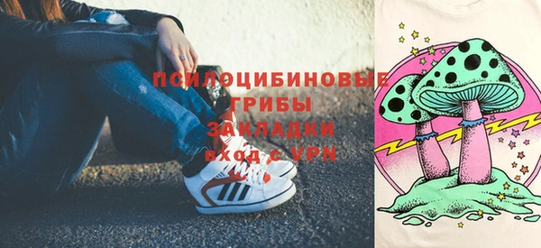 бошки Дмитровск