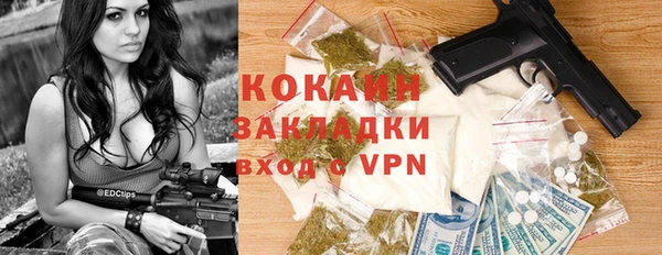 индика Дмитров
