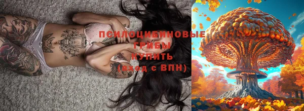 бошки Дмитровск