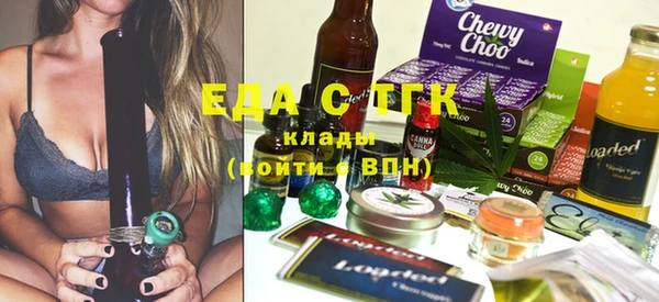 индика Дмитров