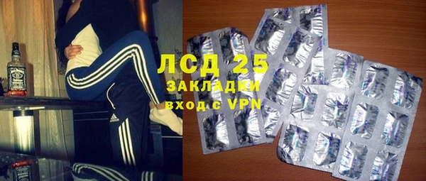 индика Дмитров