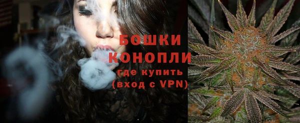 индика Дмитров