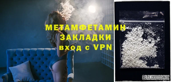 индика Дмитров