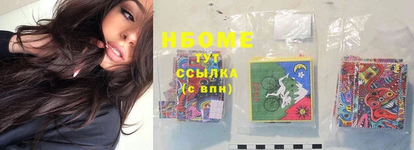 индика Дмитров