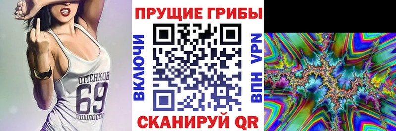 Купить  Светлоград  Галлюциногенные грибы мицелий 