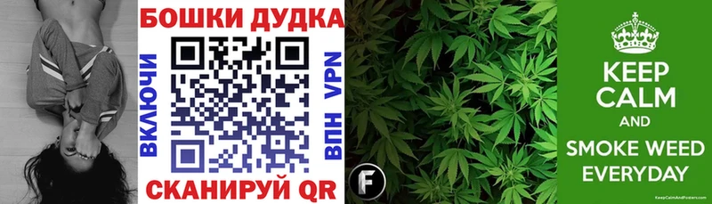 Конопля сатива  Купить где  Светлоград 